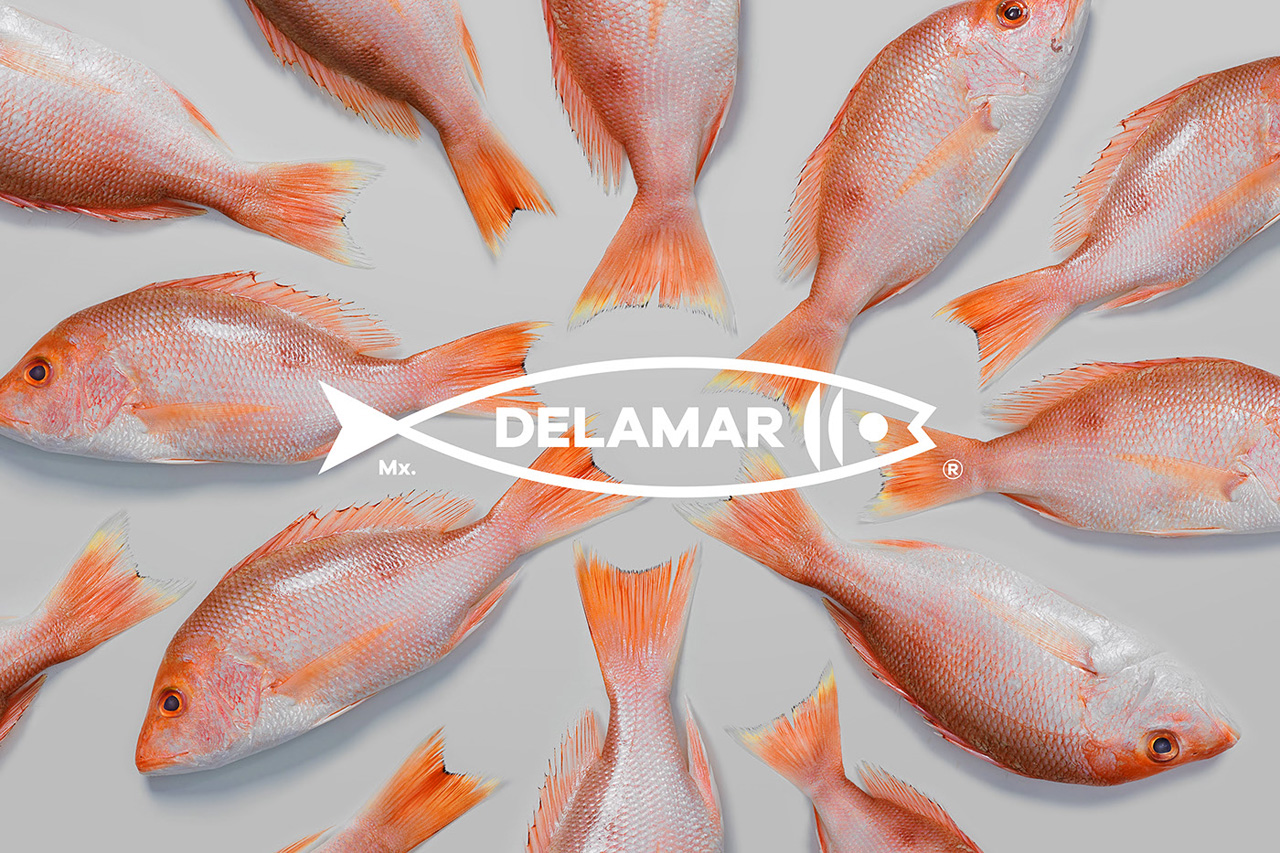 关于“鱼”的品牌LOGO设计