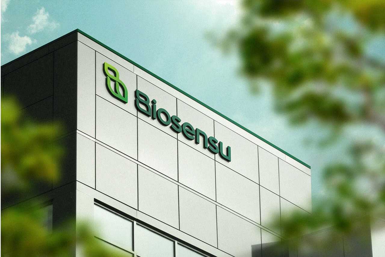 绿色调的品牌形象VI设计