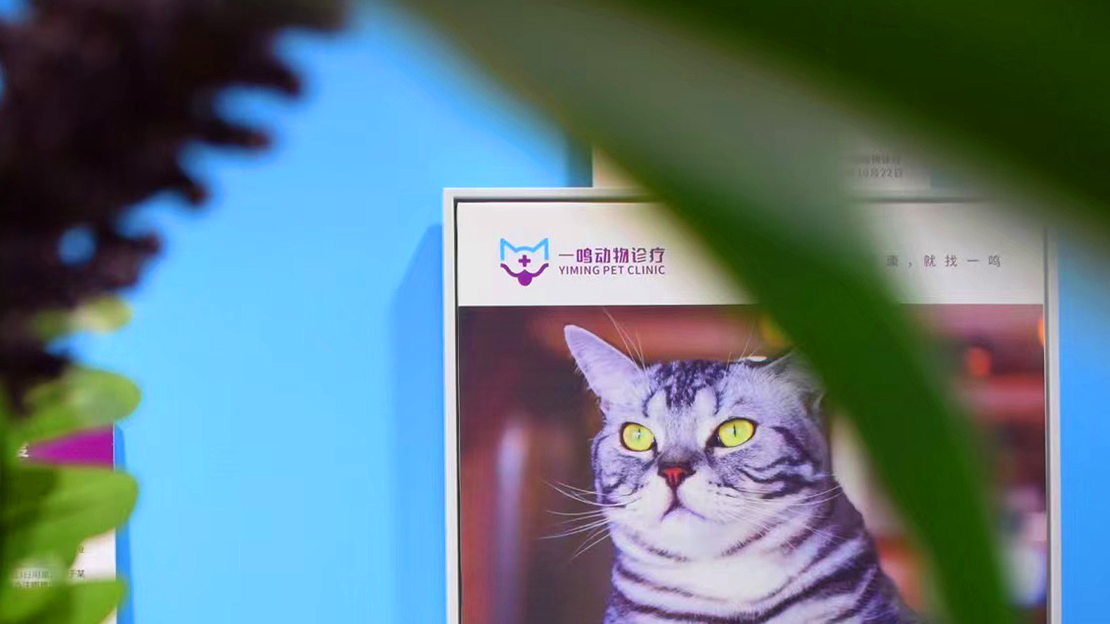 【一鸣】动物诊疗：品牌VI设计